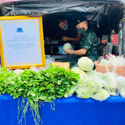 Safe Vegetable and Agriculture Products by Thaharn Phandee Project (Good Soldiers)