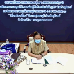 <strong>Read more about</strong><br />Her Royal Highness Princess Maha Chakri Sirindhorn Observes the Operation Progress of the Chaipattana Foundation Project in Surin Province through an Online Channel Her Royal Highness Princess Maha Chakri Sirindhorn Observes the Operation Progress of the Chaipattana Foundation Project in Surin Province through an Online Channel