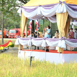 Her Royal Highness Princess Maha Chakri Sirindhorn Observes the Activity of Rice Harvesting at Chulachomklao Royal Military Academy in Nakhon Nayok Province