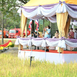 <strong>Read more about</strong><br />Her Royal Highness Princess Maha Chakri Sirindhorn Observes the Activity of Rice Harvesting at Chulachomklao Royal Military Academy in Nakhon Nayok Province Her Royal Highness Princess Maha Chakri Sirindhorn Observes the Activity of Rice Harvesting at Chulachomklao Royal Military Academy in Nakhon Nayok Province