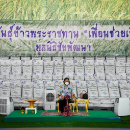 <strong>Read more about</strong><br />Her Royal Highness Princess Maha Chakri Sirindhorn Travels to Observe the Operation of Prince Chakraband Pensiri Center for Plant Development in Surin Province Her Royal Highness Princess Maha Chakri Sirindhorn Travels to Observe the Operation of Prince Chakraband Pensiri Center for Plant Development in Surin Province