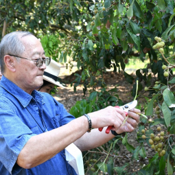 <strong>Read more about</strong><br />Member and Secretary-General of the Chaipattana Foundation Observes the Operation Progress of Baan Rong Wua Cooperative Agriculture Project and Jing Jai Farmers Market Member and Secretary-General of the Chaipattana Foundation Observes the Operation Progress of Baan Rong Wua Cooperative Agriculture Project and Jing Jai Farmers Market