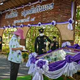 <strong>Read more about</strong><br />Her Royal Highness Princess Maha Chakri Sirindhorn Travels to Observe the Operations of “Thaharn Phandee Project (Good Farmer Soldiers)” in Tak Province Her Royal Highness Princess Maha Chakri Sirindhorn Travels to Observe the Operations of “Thaharn Phandee Project (Good Farmer Soldiers)” in Tak Province