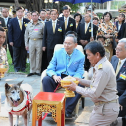 <strong>Read more about</strong><br />HM the King Visits the Princess Mother Memorial Park, Khlong San District, Bangkok HM the King Visits the Princess Mother Memorial Park, Khlong San District, Bangkok