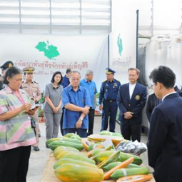 <strong>Read more about</strong><br />HRH Princess Maha Chakri Sirindhorn Inspects the Progress of the Chakraband Pensiri Plant Development Center, Saraburi Province HRH Princess Maha Chakri Sirindhorn Inspects the Progress of the Chakraband Pensiri Plant Development Center, Saraburi Province