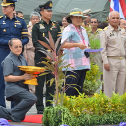 <strong>Read more about</strong><br />HRH Princess Maha Chakri Sirindhorn Cultivates Rice at Chulachomklao Royal Military Academy HRH Princess Maha Chakri Sirindhorn Cultivates Rice at Chulachomklao Royal Military Academy
