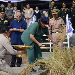<strong>Read more about</strong><br />HRH Princess Maha Chakri Sirindhorn Harvests Rice at the Chulachomklao Royal Military Academy HRH Princess Maha Chakri Sirindhorn Harvests Rice at the Chulachomklao Royal Military Academy