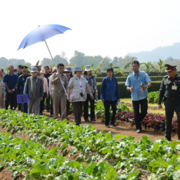 <strong>Read more about</strong><br />HRH Princess Maha Chakri Sirindhorn Inspects the Operation of the Chaipattana Foundation's Projects in Chiang Rai Province HRH Princess Maha Chakri Sirindhorn Inspects the Operation of the Chaipattana Foundation's Projects in Chiang Rai Province