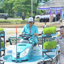 H.R.H. Princess Maha Chakri Sirindhorn Transplants Rice at the Chulachomklao Royal Military Academy, Nakhon Nayok Province