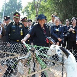 <strong>Read more about</strong><br />Her Royal Highness Princess Maha Chakri Sirindhorn Visits the Chaipattana’s Projects in Chiang Rai Province Her Royal Highness Princess Maha Chakri Sirindhorn Visits the Chaipattana’s Projects in Chiang Rai Province