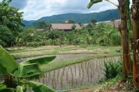 <strong>Read more about</strong><br />Bhumirak Dhamachart Center Bhumirak Dhamachart Center