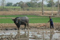 <strong>Read more about</strong><br />Agricultural School Agricultural School