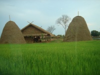 <strong>Read more about</strong><br />Kasornkasiwit - Implementation Kasornkasiwit - Implementation