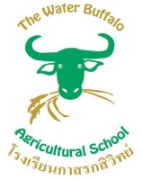 <strong>Read more about</strong><br />The Kasornkasiwit School’s Collaboration The Kasornkasiwit School’s Collaboration