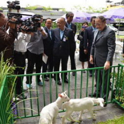 <strong>Read more about</strong><br />Press Conference to launch the HM the Queen’s 80th Birthday Exhibition, the Royal Development Projects Office Building, Rama VIII Bridge, Bangkok Press Conference to launch the HM the Queen’s 80th Birthday Exhibition, the Royal Development Projects Office Building, Rama VIII Bridge, Bangkok