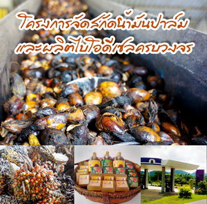 โครงการโรงงานสกัดน้ำมันพืชและผลิตไบโอดีเซลครบวงจร จังหวัดเพชรบุรี