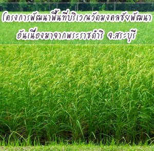 โครงการพัฒนาพื้นที่บริเวณวัดมงคลชัยพัฒนา จ.สระบุรี