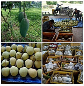pabong 20180606 1