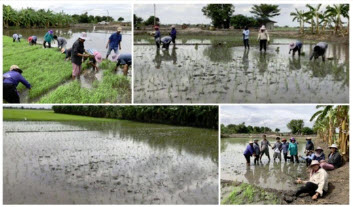 Ladbualuang 20180906 3