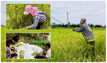 Ladbualuang 20180914 2