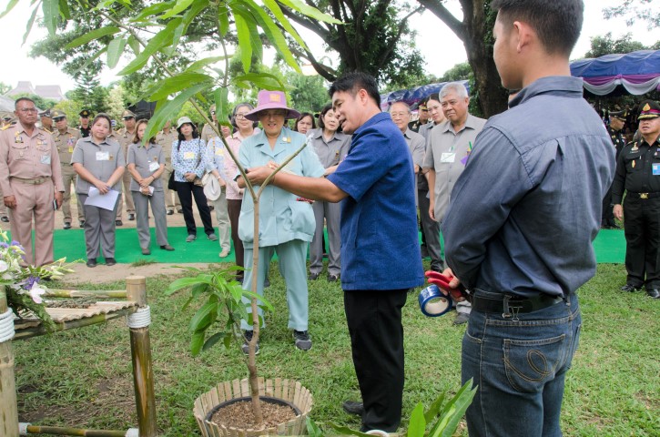 โครงการ บ้าน ใหม่ แปลง ยาว ภาษาอังกฤษ