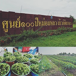 โครงการศูนย์ 100 ปี หม่อมหลวงบัว กิติยากร ต.บางสมบูรณ์ อ.องครักษ์ จ.นครนายก