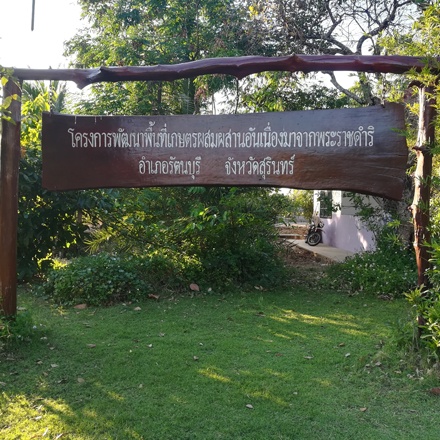 โครงการสาธิตการเกษตรแบบผสมผสาน อ.รัตนบุรี จ.สุรินทร์