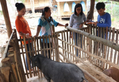 โครงการศูนย์พัฒนาพันธุ์สัตว์พระราชทานด่านซ้าย ต.ด่านซ้าย ... รูปภาพ 4