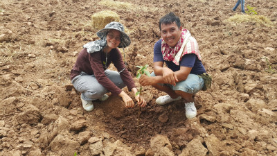 โครงการพัฒนาที่ดินมูลนิธิชัยพัฒนาบ้านเหมือดแอ่ ต.หนองตูม ... รูปภาพ 14