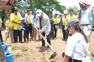 โครงการพัฒนาที่ดินมูลนิธิชัยพัฒนาบ้านเหมือดแอ่ ต.หนองตูม ... รูปภาพ 27