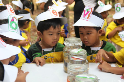 โครงการพัฒนาป่าชุมชน บ้านอ่างเอ็ด ต.ตกพรม อ.ขลุง จ.จันทบุรี รูปภาพ 13