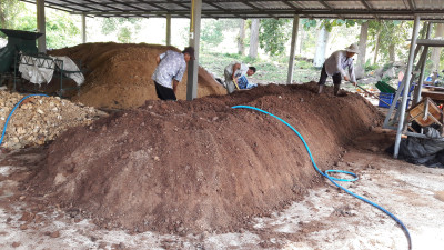 โครงการศึกษาวิจัยและพัฒนาเกษตรกรรมบนพื้นที่สูงของมูลนิธิชัยพัฒนา ต.โป่งน้ำร้อน อ.ฝาง จ.เชียงใหม่ ... รูปภาพ 16