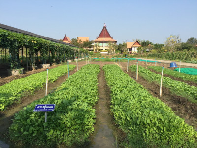 โครงการศูนย์ชัยพัฒนาการเกษตรสิรินธร ต.เนินมะกอก อ.บางมูลนาก ... รูปภาพ 11