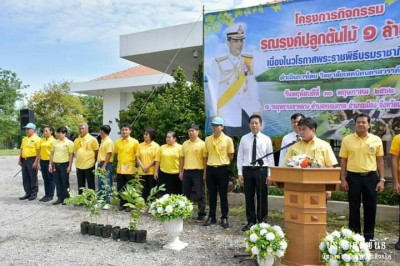 โครงการพัฒนาและปรับปรุงพื้นที่ดินมูลนิธิชัยพัฒนา ... รูปภาพ 11