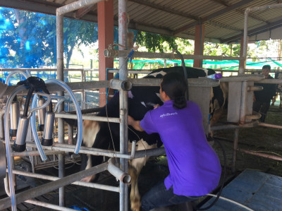 โครงการศูนย์ชัยพัฒนาการเกษตรสิรินธร ต.เนินมะกอก อ.บางมูลนาก ... รูปภาพ 9