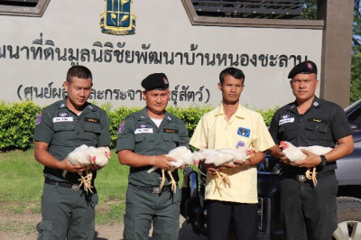 โครงการศูนย์พัฒนาพันธุ์สัตว์พระราชทานบ้านหนองชะลาบ จ.ตาก รูปภาพ 9