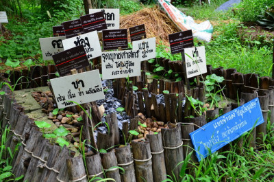 โครงการศูนย์ภูมิรักษ์ธรรมชาติ ต.หินตั้ง อ.เมือง จ.นครนายก รูปภาพ 17