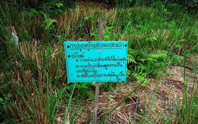 โครงการศูนย์ภูมิรักษ์ธรรมชาติ ต.หินตั้ง อ.เมือง จ.นครนายก รูปภาพ 14