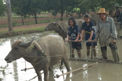 โครงการโรงเรียนกาสรกสิวิทย์ ต.สระแก้ว อ.เมืองสระแก้ว ... รูปภาพ 8