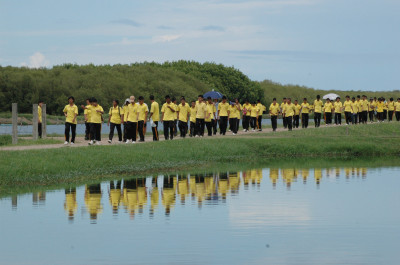 โครงการศึกษาวิจัยและพัฒนาสิ่งแวดล้อมแหลมผักเบี้ย ... รูปภาพ 12