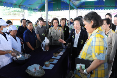 โครงการสาธิตการทำนา/ศูนย์สาธิตและพัฒนาพลังงานทดแทนแบบครบวงจร/เพิ่มผลผลิตข้าว อ.ลาดบัวหลวง จ.อยุธยา ... รูปภาพ 1