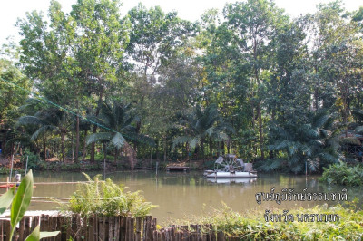 โครงการศูนย์ภูมิรักษ์ธรรมชาติ ต.หินตั้ง อ.เมือง จ.นครนายก รูปภาพ 2