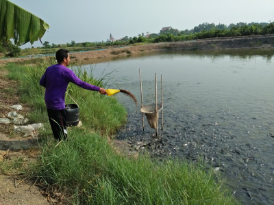 โครงการพัฒนาที่ดินมูลนิธิชัยพัฒนา ต.ศรีจุฬา อ.เมือง ... รูปภาพ 10