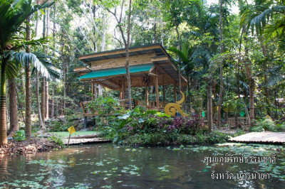 โครงการศูนย์ภูมิรักษ์ธรรมชาติ ต.หินตั้ง อ.เมือง จ.นครนายก รูปภาพ 5