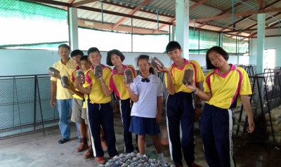 โครงการพัฒนาการปรับปรุงบำรุงดินสำหรับการทำนาบ้านเด่นใหญ่ ... รูปภาพ 16