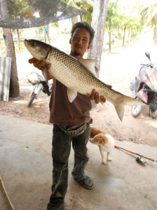 โครงการสาธิตทฤษฎีใหม่อันเนื่องมาจากพระราชดำริ (ปักธงชัย) ... รูปภาพ 18