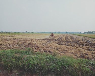 โครงการศูนย์ 100 ปี หม่อมหลวงบัว กิติยากร ต.บางสมบูรณ์ ... รูปภาพ 17