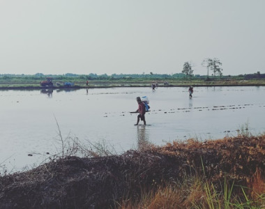 โครงการศูนย์ 100 ปี หม่อมหลวงบัว กิติยากร ต.บางสมบูรณ์ ... รูปภาพ 18