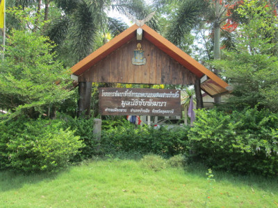 โครงการพัฒนาพื้นที่การเกษตรแบบผสมผสานบ้านติ้ว จ.อุดรธานี รูปภาพ 10