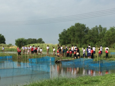 โครงการพัฒนาที่ดินมูลนิธิชัยพัฒนา บ้านเกาะกา ต.ท่าเรือ ... รูปภาพ 2